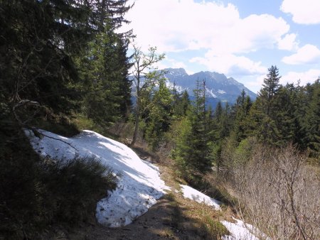 Il reste un peu de neige...