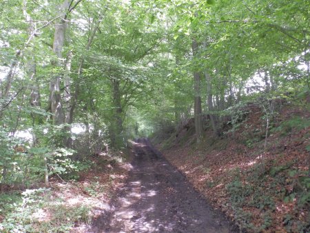 Sur le sentier botanique.