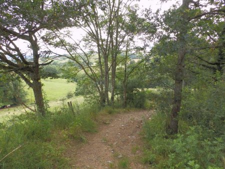 On emprunte ce sentier qui descend à la Gimond.