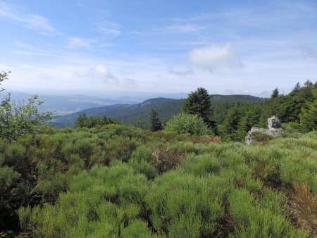 Au centre de la photo, le Crêt de Saint-Sabin.