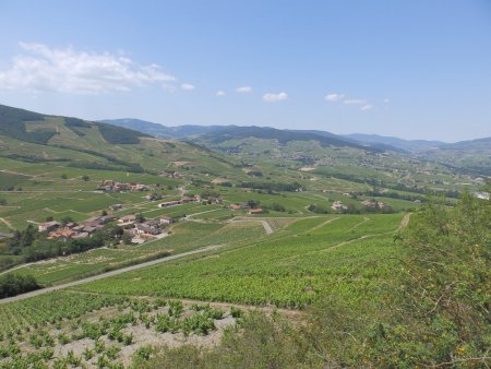 Vers Quincié-en-Beaujolais et le Mont Saint-Rigaud, à droite de la photo.