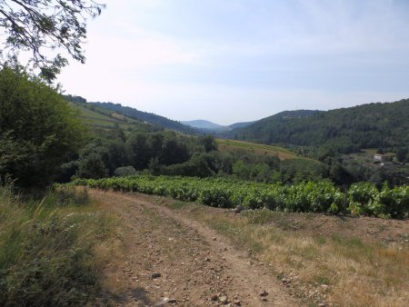 Regard en arrière. Au centre de la photo, le Mont Brouilly.