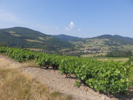 Vue vers Saint-Didier-sur-Beaujeu.