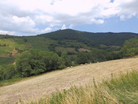 Montagne de Rochefort.