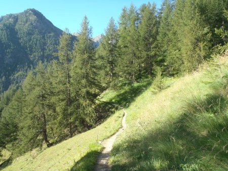 en direction du vallon de Forneris