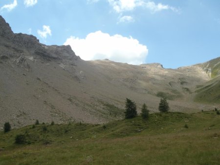 l’herbe retrouvée...