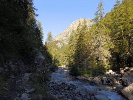 Le Long du torrent de l’Eau de Bérard.