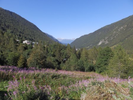 Vallée de Vallorcine.