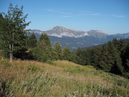 La combe herbeuse sous le chalet de la Plate, avec le Trélod au fond.