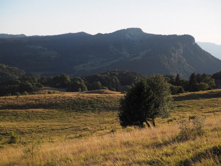 Lumière du soir sur les alpages de la Cula