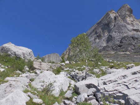 Montée vers le Dérochoir.