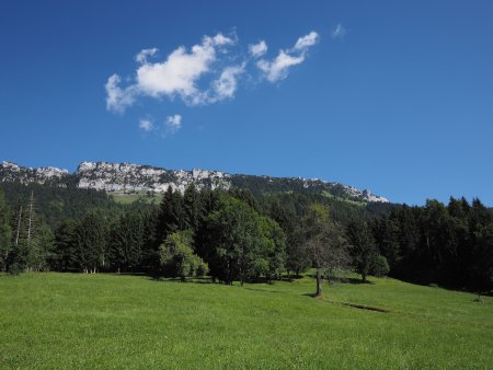 Montée dans les prés au-dessus du Créterny