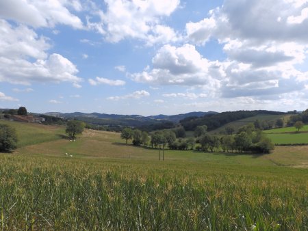 Entre la Rivoirolle et le Puits.