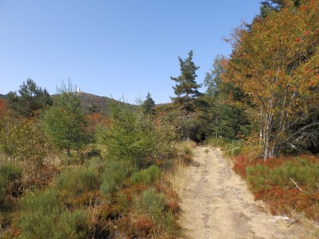 En direction du Col du Gratteau.