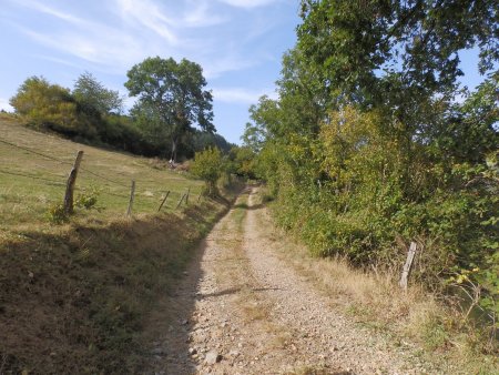 Sur le Chemin de la Colline, en direction de la Roche Brocailleux.