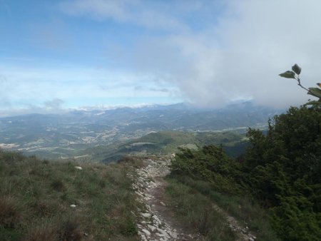 Le long de la crête