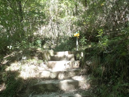 Arrivée sur la piste forestière