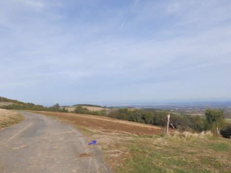 Quitter cette route et tourner à droite pour entrer dans le bois de la Gorge 