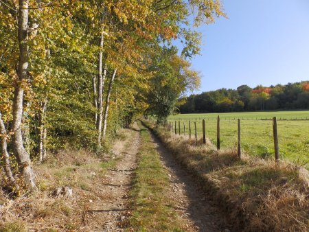 Montée vers le Bois Martoux.