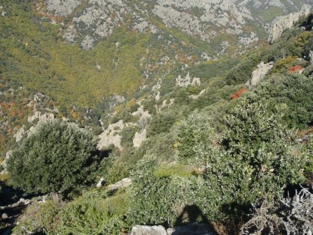 le haut des Gorges vu du col de la Narquoise, 