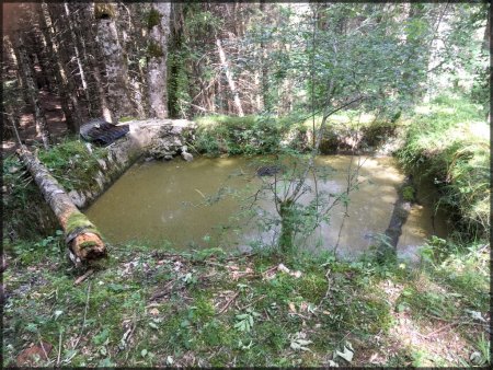 Les photos suivantes sont de Michel... Un bassin. Vestiges de la ferme.