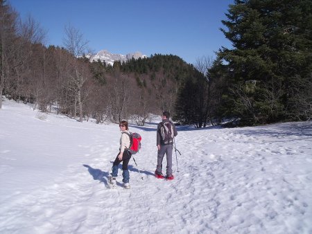 En bout de prairie, avant de virer à l’est en forêt