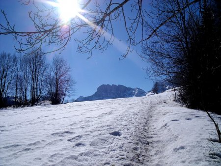 Des prairies Maunette, le Grand Veymont pointe sa cime