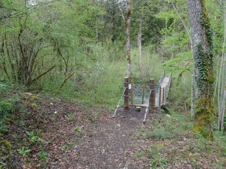 Passerelle suspendue