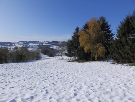 Vue vers le Crêt de la Courtine.