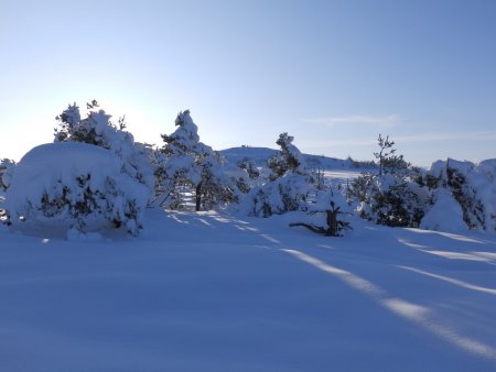 Crêt de la Perdrix.