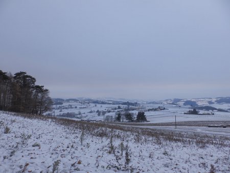 Vers Saint-Martin-en-Haut.