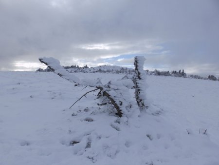 Crêt de la Perdrix.