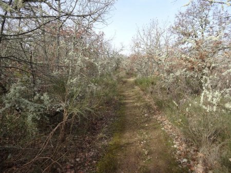 Descente vers Petit Sauvan