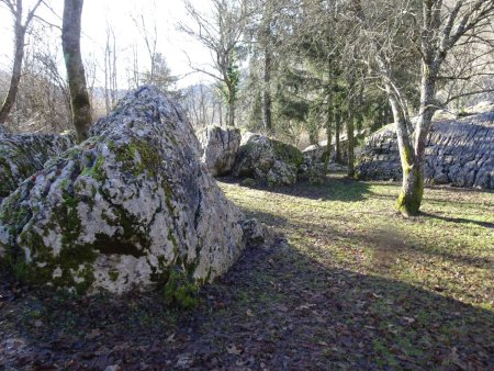 Blocs de Nécuidet