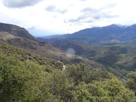 Au loin, la chapelle de Flaçà