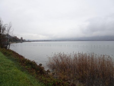 Lac du Bourget