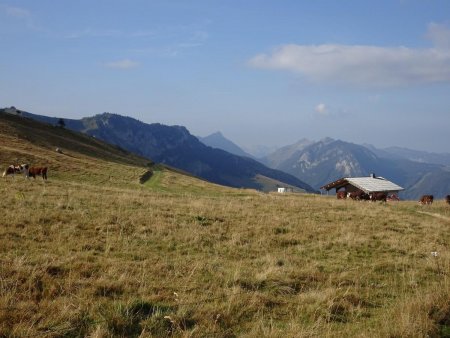 Plateau de Cenise