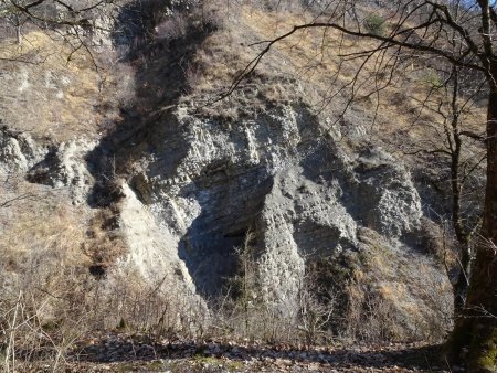 Le long du Ruisseau de Crolles