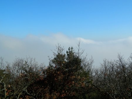 Brouillard trop élevé pour une vision lointaine.