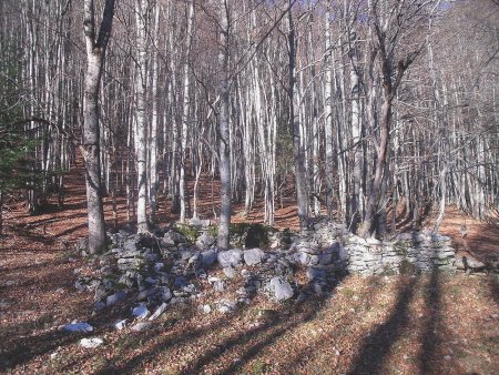 La ruine à proximité de Grandchamp