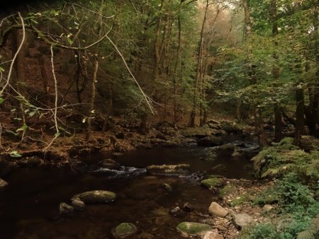 Le Lignon dans l’obscurité de sa gorge et de la forêt.