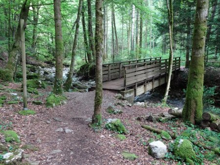 Passerelle sur le Journans