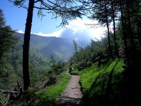 Sortant de la forêt au-dessus de la Combe Morelle, là haut c’est bouché