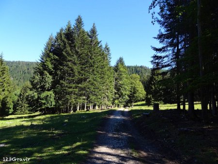 De la Montagnette aux Terraux en direction des gorges