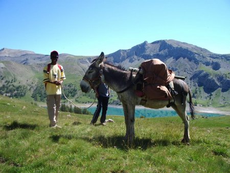 rando âne dans le Mercantour