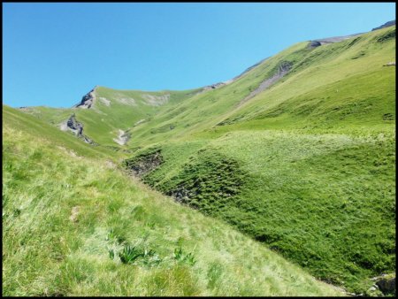 La combe du Ruisseau de Coin Lauzier.