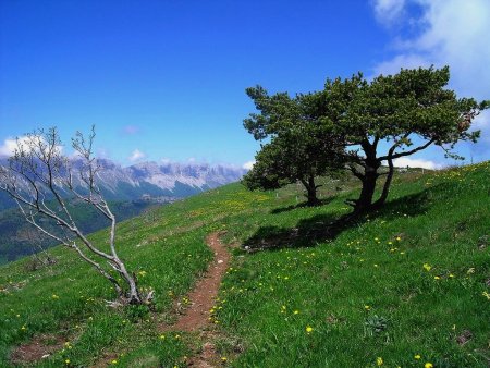 Sur la crête.