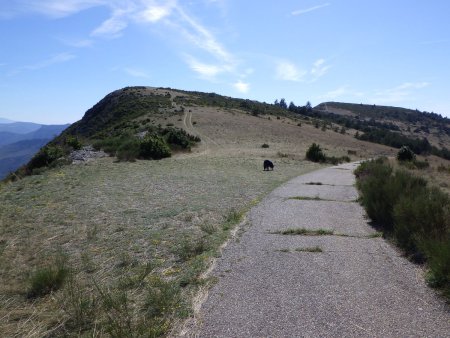 Quitter la route pour le chemin à gauche