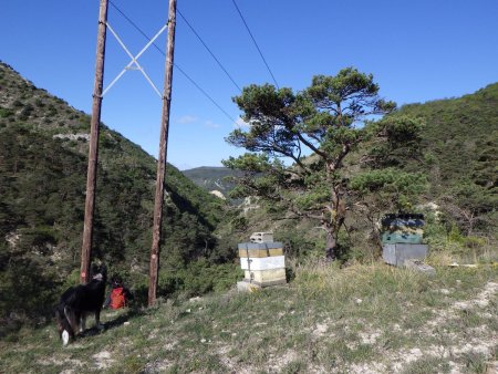 Passage entre les deux poteaux électriques