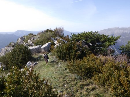 Fin de la raide arête. Du repos pour les pattes.